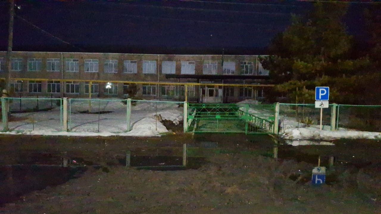 Час земли школа